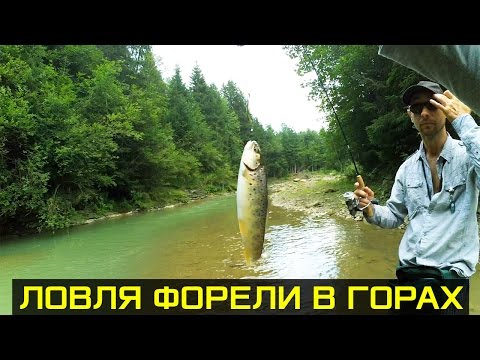Thumbnail for Незабываемая рыбалка в Карпатах. Ловля форели на блесна и воблеры