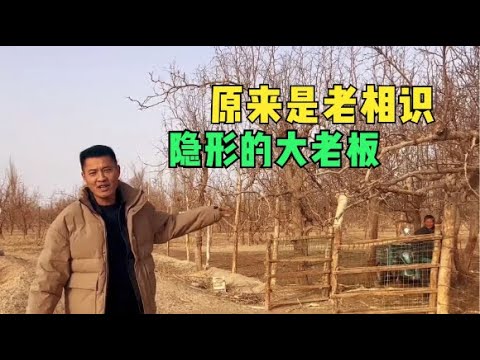 Thumbnail for 住在300亩枣树园的隐形大老板,一只鸡卖300多,他的观念你认同吗