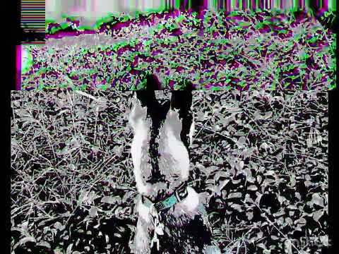 Thumbnail for De vVuelTta AL lAd0 solEAd0 dE LA caLLE