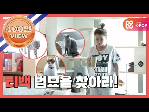 [쇼타임] &apos;효린&apos;과 삼냥이의 아침 일상 공개! l EP.6 (JPN)