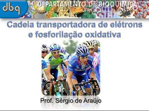 Curso de Bioquímica: Cadeia transportadora de elétrons e fosforilação oxidativa (parte III)