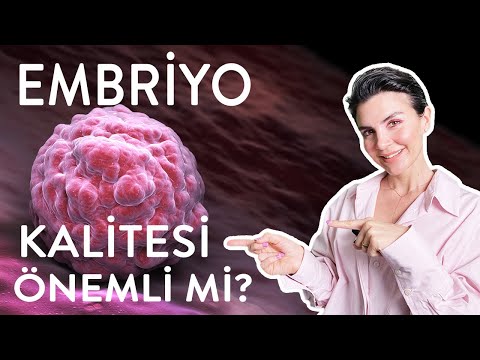 Thumbnail for Tüp Bebekte Embriyo Kalitesi Ne Kadar Önemli?/Embriyolog Anlatıyor