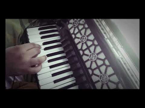 Vídeo aula sanfoninha choradeira