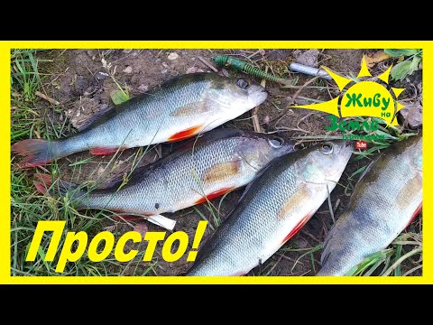 Thumbnail for Рыбалка на Спиннинг для Начинающих. Заброс, Катушка, Удилище, Приманки, Проводка.