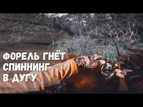 Thumbnail for ФОРЕЛЕВАЯ РЫБАЛКА В КАРЕЛИИ. Нашли форелевое эльдорадо. Трофейная форель гнет спиннинг в дугу.