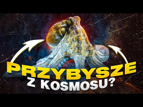 Thumbnail for Czy ośmiornice to przybysze z kosmosu?