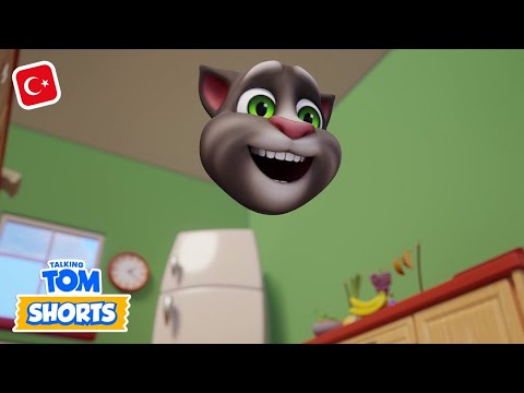 Thumbnail for Konuşan Tom Kısa Kısa - Görünmez Tom (2. Sezon 13. Bölüm) | Animasyon