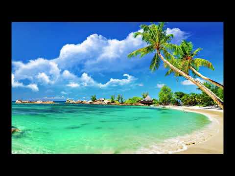 Alex | Progressive House