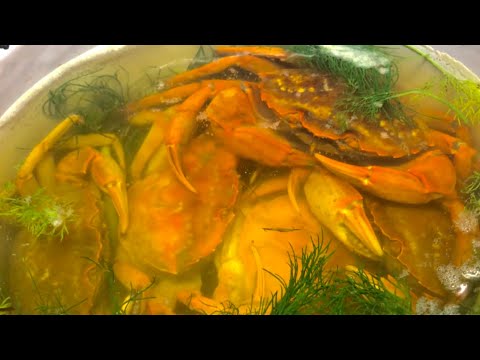 Секретный дедовский способ готовки и разделки краба. Лазурное 2021