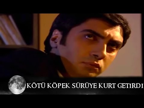 Kötü Köpek Sürüye Kurt Getirdi  - Kurtlar Vadisi 48.Bölüm