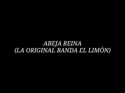Thumbnail for La Arrolladora Banda El Limón - Abeja Reina (Letra)