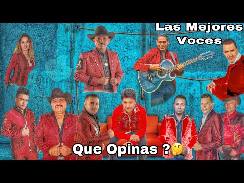 Las Mejores Voces De Tierra Caliente 2019