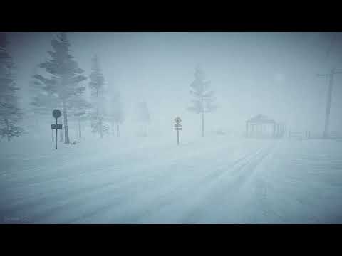 Thumbnail for 8 Hours Blizzard Sounds & Howling wind | Winter Storm Sounds | Heavy Snowstorm