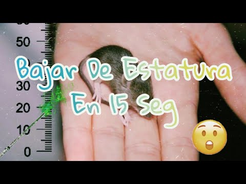 Bajar de Estatura ○ Audio Subliminal {En 15 Segundos}