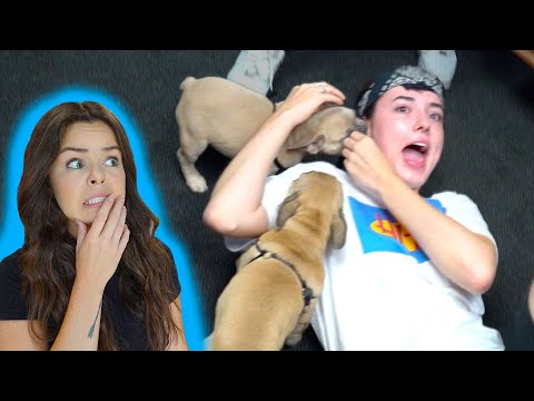Thumbnail for This Prank Made Her Cry...