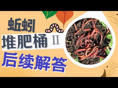 DIY蚯蚓堆肥桶的現狀和後續疑問解答：廚余垃圾有哪些禁忌 臭味和蟲害會嚴重嗎 蚯蚓會不會被悶死  蚯蚓茶有機肥的妙用 後院堆肥有哪些注意事項  經驗交流和分享