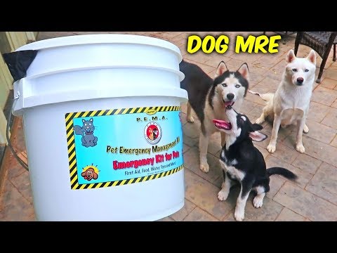 Dog MRE (Meal Ready To Eat)