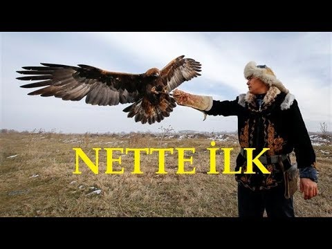 Thumbnail for Kartal ile Avlananlar | Türkçe Dublaj_Nette İlk