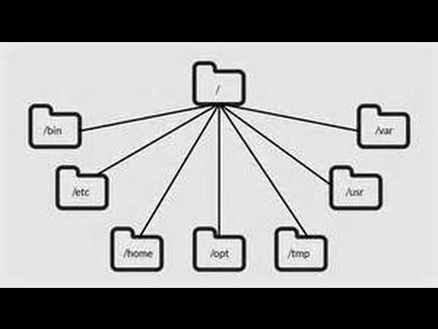 Thumbnail for Learning the Linux File System
