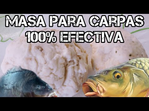 ????MASA PARA PESCAR CARPAS???? RECETA DE CARPEANDO NEUQUÉN