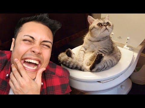 REACTING TO ANIMALS DOING FUNNY THINGS