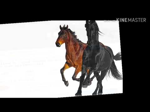 Thumbnail for Mommy town road @ssundee