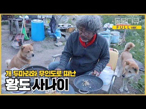 Thumbnail for [풀버전] 물도 없고 전기도 없는 무인도에 맨몸으로 들어와 살고 있는 남자?! 사업 실패 후 강아지들과 함께 무인도로 떠난 사나이 | 동물극장 단짝 EP19 | KBS 220604
