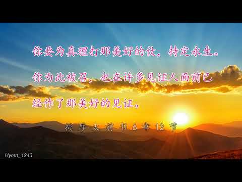 原谅我的所作所为