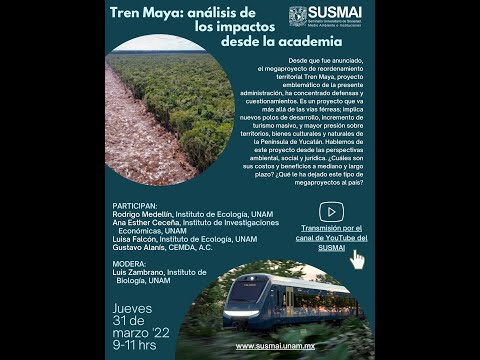Tren Maya: análisis de los impactos desde la academia