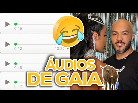 ÁUDIOS ENGRAÇADOS do WHATSAPP????  TOMOU GAIA? (SÓ OS MELHORES)