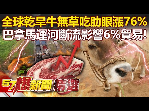 全球乾旱「牛無草可吃」Prime肋眼漲價76%!巴拿馬運河恐斷流影響世界6%貿易!? - 康仁俊【57爆新聞 精選】