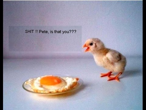 Thumbnail for {Rocket League} (771) SHIT OH PETE