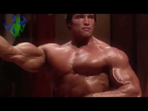How To Train For Mass | Arnold Schwarzenegger - Training Program Arnold Workout