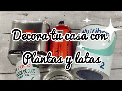 Decora tu casa con plantas y latas