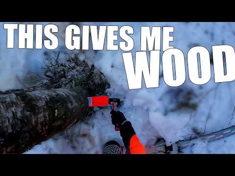 They say Birch is the BEST firewood