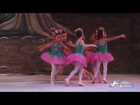 ARTE DANCE 2016 - Flores Rosas