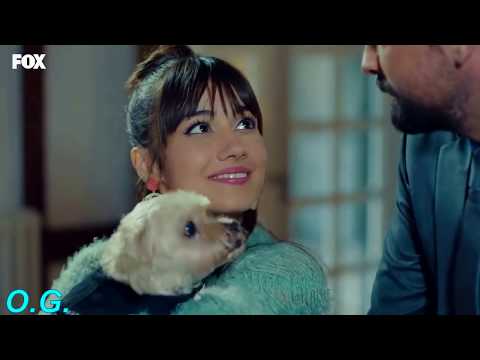 Thumbnail for #14 Когда рядом ты / Зейнеп и Алихан / ЗП