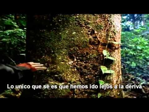Canción de la Tierra ( Earth Song)-Michael Jackson/Subtitulada en Español