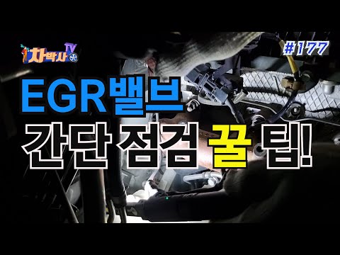 차박사TV_177회, EGR밸브 간단 점검 꿀 팁! Easy check EGR valve honey tip!