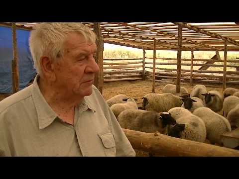 Thumbnail for Устройство овчарни "СТЕПЬ" 0+