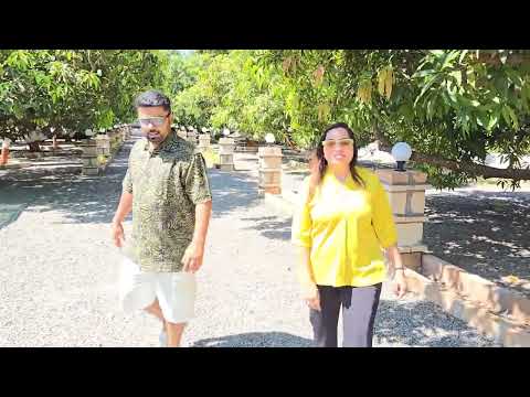 આપણો ગીર હવેલી રિસોર્ટ...Paru N Guru Daily Vlogs # 26