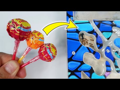 Что если дать муравьям Чупа Чупс, который красит язык? Снова покрасил муравьев?