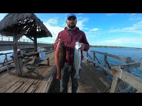 Thumbnail for Como Pescar de orilla en el puente del Maviri