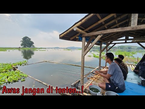 CAMP FISHING Ep.254 Lebih banyak ngomong dan masak nya daripada mancing nya