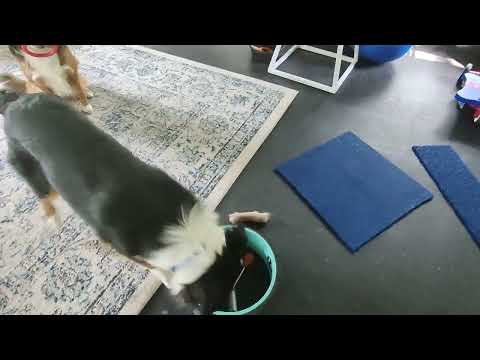 Thumbnail for Rings in things