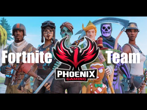 Introducing The Phoenix Fortnite Team!????