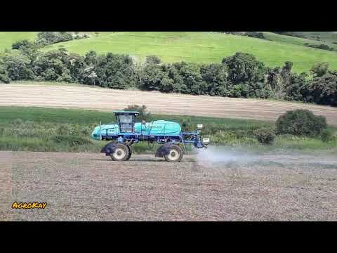 Thumbnail for MONTANA PARRUDA NA LUTA COM CAIXA IKEDA EMBRAPA