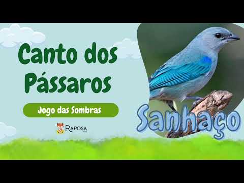 Você conhece o som do Sanhaço?