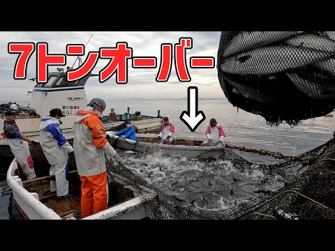 【特別編】ジンベイザメが入る事のある大型定置網であの魚が7トンとれた