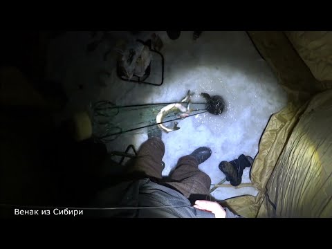 Thumbnail for Ночь, палатка, рыбалка на хапуги!